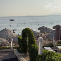 фото из отзыва ID 2737665