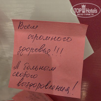 фото из отзыва ID 2737649