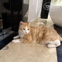 фото из отзыва ID 2737681