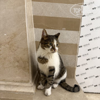 фото из отзыва ID 2737681