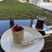 фото из отзыва ID 2737681