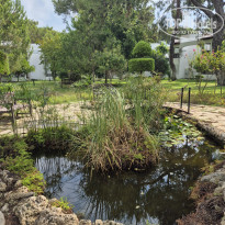 фото из отзыва ID 2731670