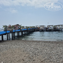 фото из отзыва ID 2731670