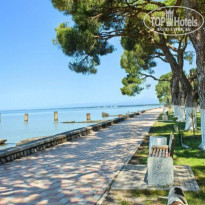 фото из отзыва ID 2737700