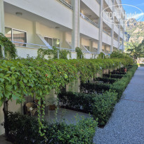 фото из отзыва ID 2737708