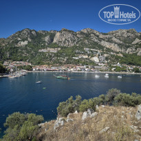 фото из отзыва ID 2737708