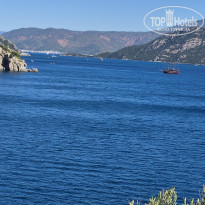 фото из отзыва ID 2737708