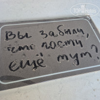 фото из отзыва ID 2737708