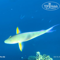 фото из отзыва ID 2737726