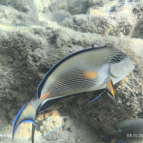 фото из отзыва ID 2737726