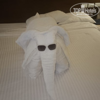 фото из отзыва ID 2737726