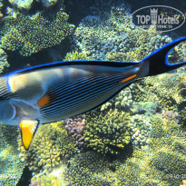 фото из отзыва ID 2737726