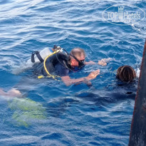 фото из отзыва ID 2737726