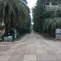 фото из отзыва ID 2737690