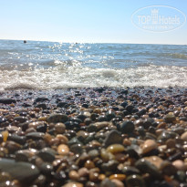 фото из отзыва ID 2737690