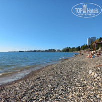 фото из отзыва ID 2737690