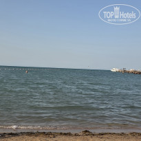 фото из отзыва ID 2737753