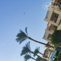 фото из отзыва ID 2737756