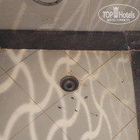 фото из отзыва ID 2737756