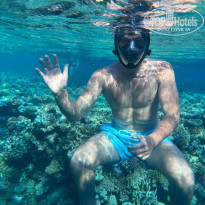 фото из отзыва ID 2737761