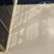 фото из отзыва ID 2737764