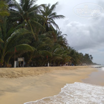 фото из отзыва ID 2737766