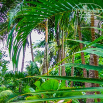 фото из отзыва ID 2737766