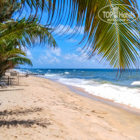 фото из отзыва ID 2737766