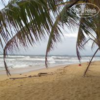 фото из отзыва ID 2737768