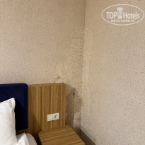 фото из отзыва ID 2737737