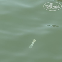 фото из отзыва ID 2737809