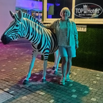 фото из отзыва ID 2737813