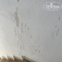 фото из отзыва ID 2737826