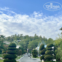 фото из отзыва ID 2737846