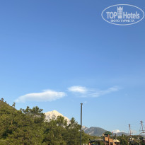 фото из отзыва ID 2737846