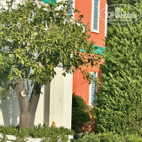 фото из отзыва ID 2737846