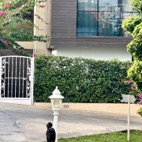 фото из отзыва ID 2737846