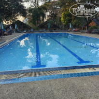 фото из отзыва ID 2737848