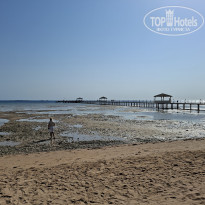 фото из отзыва ID 2737847