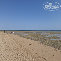 фото из отзыва ID 2737847