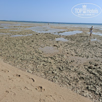 фото из отзыва ID 2737847