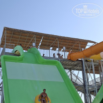 фото из отзыва ID 2737847