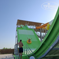 фото из отзыва ID 2737847