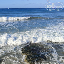 фото из отзыва ID 2737844