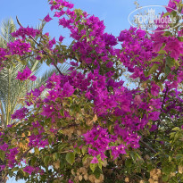 фото из отзыва ID 2737870