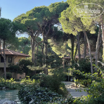 фото из отзыва ID 2737870