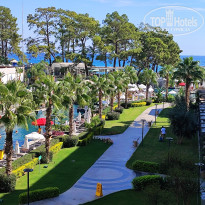 фото из отзыва ID 2737877