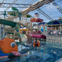 фото из отзыва ID 2737859