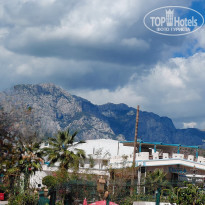 фото из отзыва ID 2737859