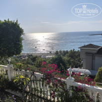 фото из отзыва ID 2737873